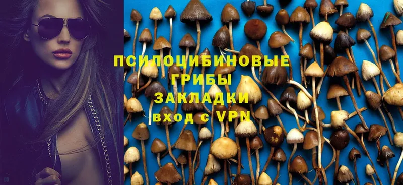 Галлюциногенные грибы Psilocybe  mega зеркало  нарко площадка формула  Армавир 